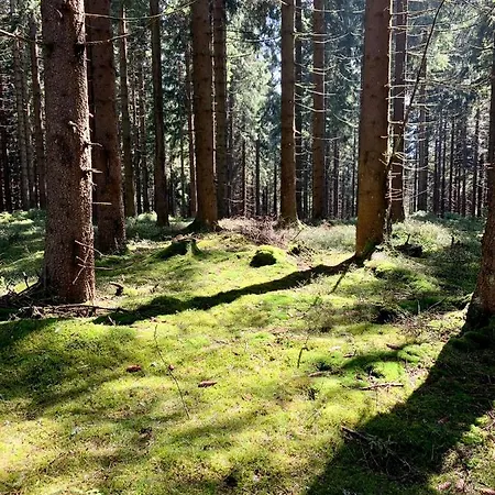 Apartmany Horni Blatna Apartment *