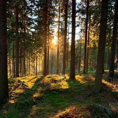 Apartmany Horni Blatna Apartment Horni Blatna